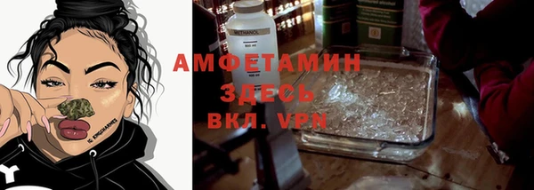эйфоретик Богданович