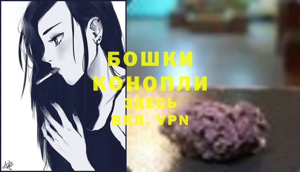 PSILOCYBIN Белоозёрский