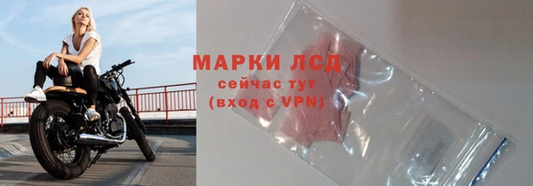 эйфоретик Богданович